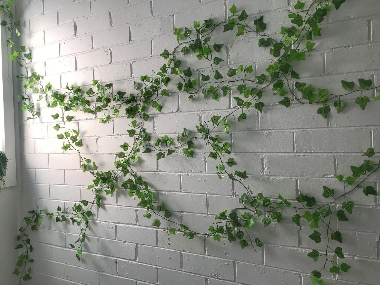 Achieve Lush Ivy Walls with These Easy Propagation Techniques