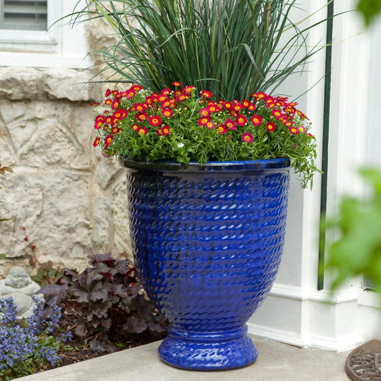 The Best Tips for Incorporating Blue Flowered Plants into Your Salad Recipes