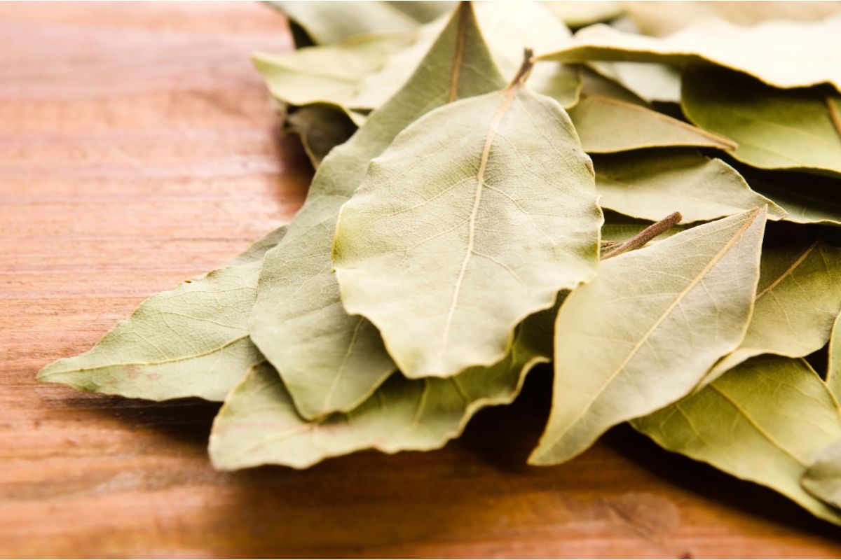 How to Achieve Great Flavor with Bay Leaf Alternatives