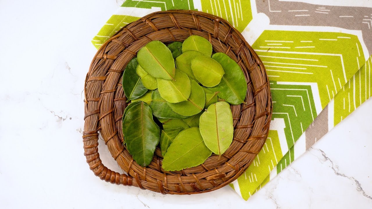 How to Store and Use Kaffir Lime Leaf: Tips for Maintaining Freshness and Flavor